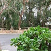 Apartment in Spain, Comunitat Valenciana, Alicante, 90 sq.m.