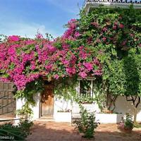 House in Spain, Andalucia, 508 sq.m.