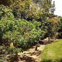 Дом в Испании, Андалусия, 223 кв.м.