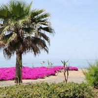 House in Spain, Andalucia, 182 sq.m.