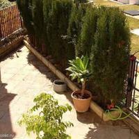 Таунхаус в Испании, Андалусия, 203 кв.м.