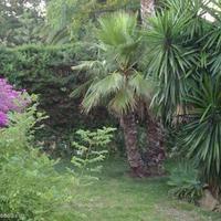 House in Spain, Andalucia, 278 sq.m.