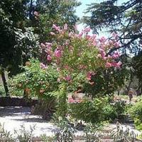 House in Spain, Andalucia, 519 sq.m.