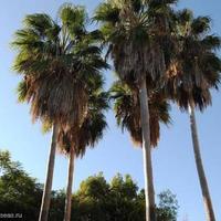 House in Spain, Andalucia, 1023 sq.m.