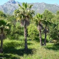 Apartment in Spain, Andalucia, 110 sq.m.