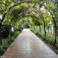 Дом в Испании, Андалусия, 790 кв.м.