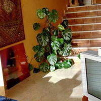 Квартира в Испании, Андалусия, 90 кв.м.