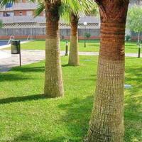 Квартира в Испании, Андалусия, 87 кв.м.