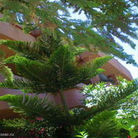 Flat in Spain, Andalucia, 155 sq.m.