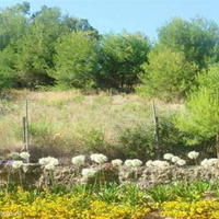 Flat in Spain, Andalucia, 60 sq.m.