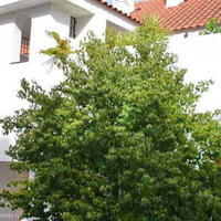 Flat in Spain, Andalucia, 140 sq.m.