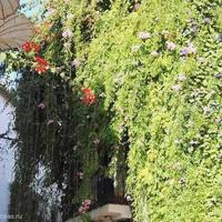 Дом в Испании, Андалусия, 100 кв.м.