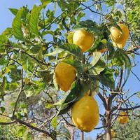 Townhouse in Spain, Andalucia, 120 sq.m.