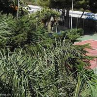 Квартира в Испании, Андалусия, 140 кв.м.