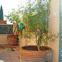 Townhouse in Spain, Andalucia, 120 sq.m.