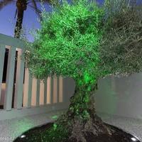 Вилла в Испании, Андалусия, 327 кв.м.