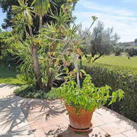 Дом в Испании, Андалусия, 350 кв.м.