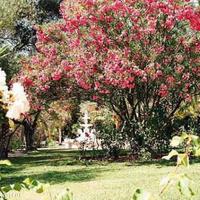 Вилла в Испании, Андалусия, 276 кв.м.