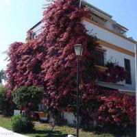 Townhouse at the first line of the sea / lake in Spain, Andalucia, 190 sq.m.