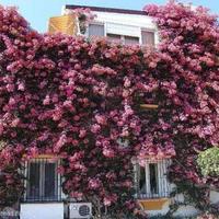 Townhouse at the first line of the sea / lake in Spain, Andalucia, 190 sq.m.