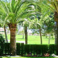 Townhouse in Spain, Andalucia, 166 sq.m.