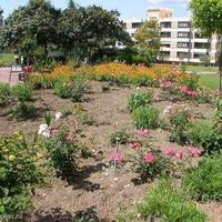 Квартира в Испании, Андалусия, 50 кв.м.