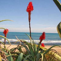 Flat in Spain, Comunitat Valenciana, Alicante, 70 sq.m.