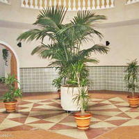 Flat in Spain, Comunitat Valenciana, Alicante, 74 sq.m.