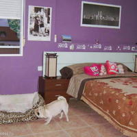 Apartment in Spain, Comunitat Valenciana, Alicante, 73 sq.m.