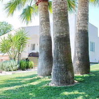 Villa in Spain, Comunitat Valenciana, Alicante, 300 sq.m.