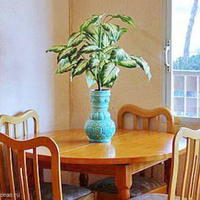 Flat in Spain, Comunitat Valenciana, Alicante, 100 sq.m.