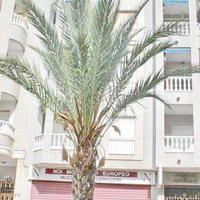 Flat in Spain, Comunitat Valenciana, Alicante, 66 sq.m.