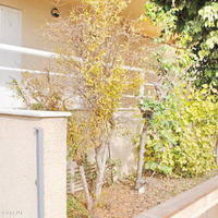 Апартаменты в Испании, Валенсия, Аликанте, 65 кв.м.