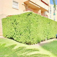 Квартира в Испании, Валенсия, Аликанте, 65 кв.м.