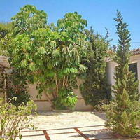 Villa in Spain, Comunitat Valenciana, Alicante, 150 sq.m.