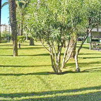 Квартира на первой линии моря/озера в Испании, Валенсия, Аликанте, 80 кв.м.