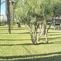 Квартира на первой линии моря/озера в Испании, Валенсия, Аликанте, 80 кв.м.