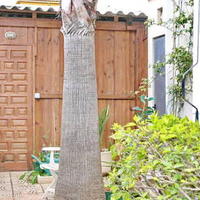 Дом в Испании, Валенсия, Аликанте, 90 кв.м.