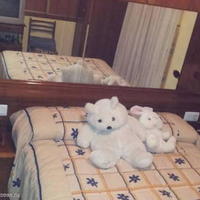 Дом в Испании, Валенсия, Аликанте, 80 кв.м.