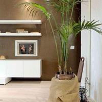 Apartment in Italy, Pienza, 100 sq.m.