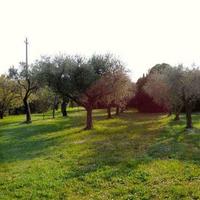 Вилла в Италии, Пьенца, 160 кв.м.