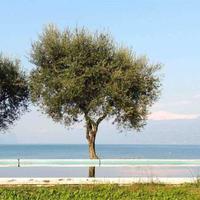 Вилла в Италии, Пьенца, 160 кв.м.