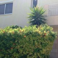 Вилла на Кипре, Протарас, 154 кв.м.