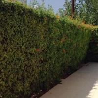 Вилла на Кипре, Протарас, 154 кв.м.