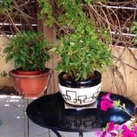 Вилла на Кипре, Протарас, 154 кв.м.