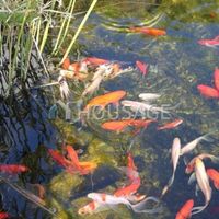 Villa in Spain, Catalunya, Lloret de Mar, 400 sq.m.