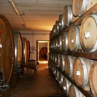 Вилла в Италии, Пьенца, 750 кв.м.