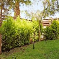 Villa in Republic of Cyprus, Protaras, 180 sq.m.