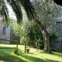 Villa in Italy, Palau, 300 sq.m.
