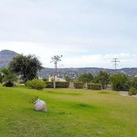 Вилла в Испании, Валенсия, Аликанте, 200 кв.м.